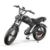 Leabose C93 High-Performance 1000W Fat Tire Electric Bike