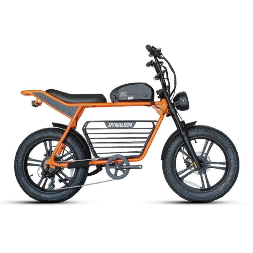 K7-2 1000W 48V Electric All-Terrain Fat Tire Dirt Bike