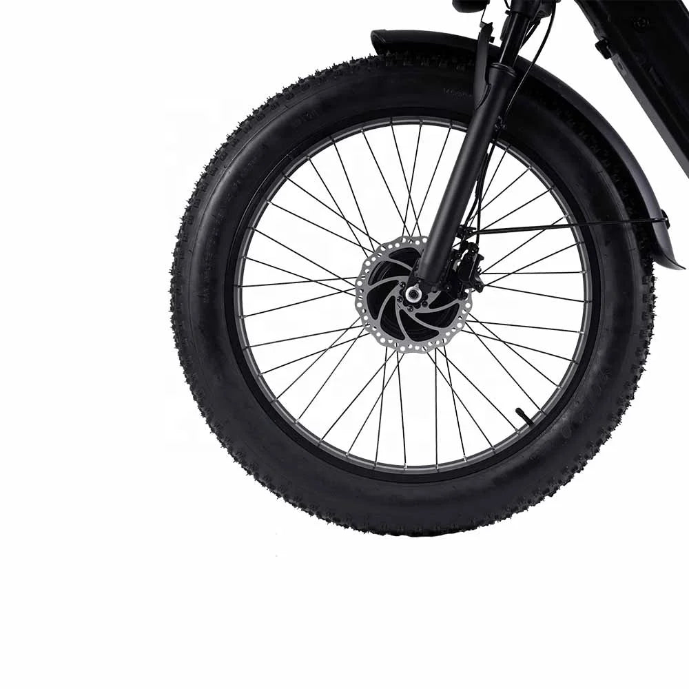 Close-up of a black fat tire with a multi-spoke wheel, disc brake, and black fender on a white background.