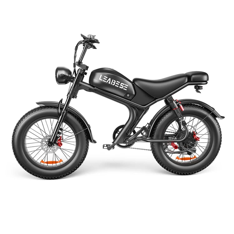 Leabose C93 High-Performance 1000W Fat Tire Electric Bike