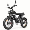 Ridstar Q20 Pro Dual Motor Electric Bike