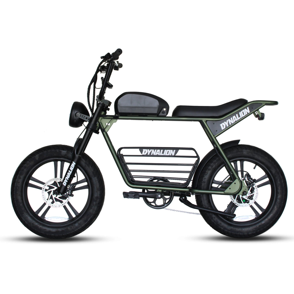 K7-2 1000W 48V Electric All-Terrain Fat Tire Dirt Bike