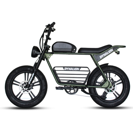 K7-2 1000W 48V Electric All-Terrain Fat Tire Dirt Bike
