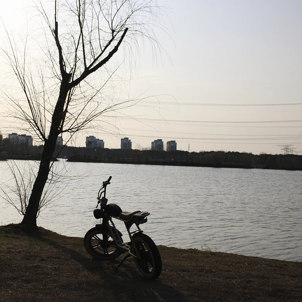 K7-2 1000W 48V Electric All-Terrain Fat Tire Dirt Bike