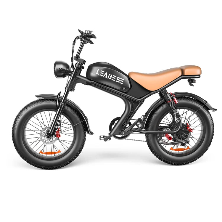 Leabose C93 High-Performance 1000W Fat Tire Electric Bike