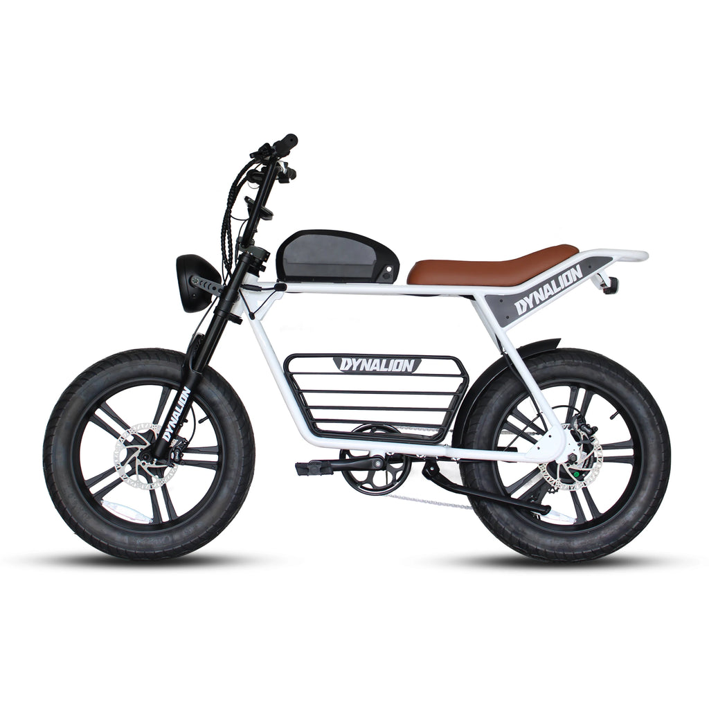 K7-2 1000W 48V Electric All-Terrain Fat Tire Dirt Bike