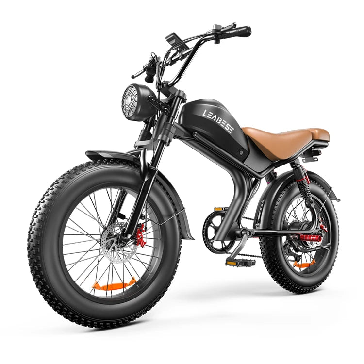 Leabose C93 High-Performance 1000W Fat Tire Electric Bike