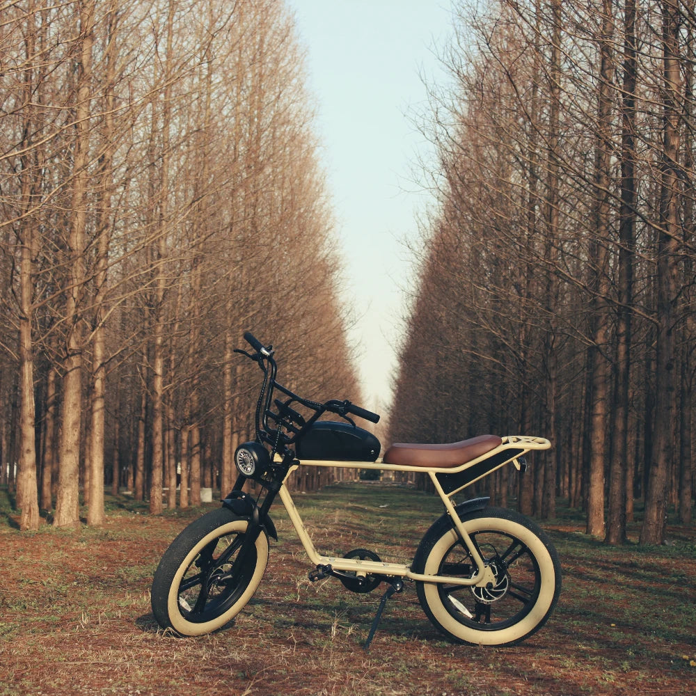 K7-2 1000W 48V Electric All-Terrain Fat Tire Dirt Bike
