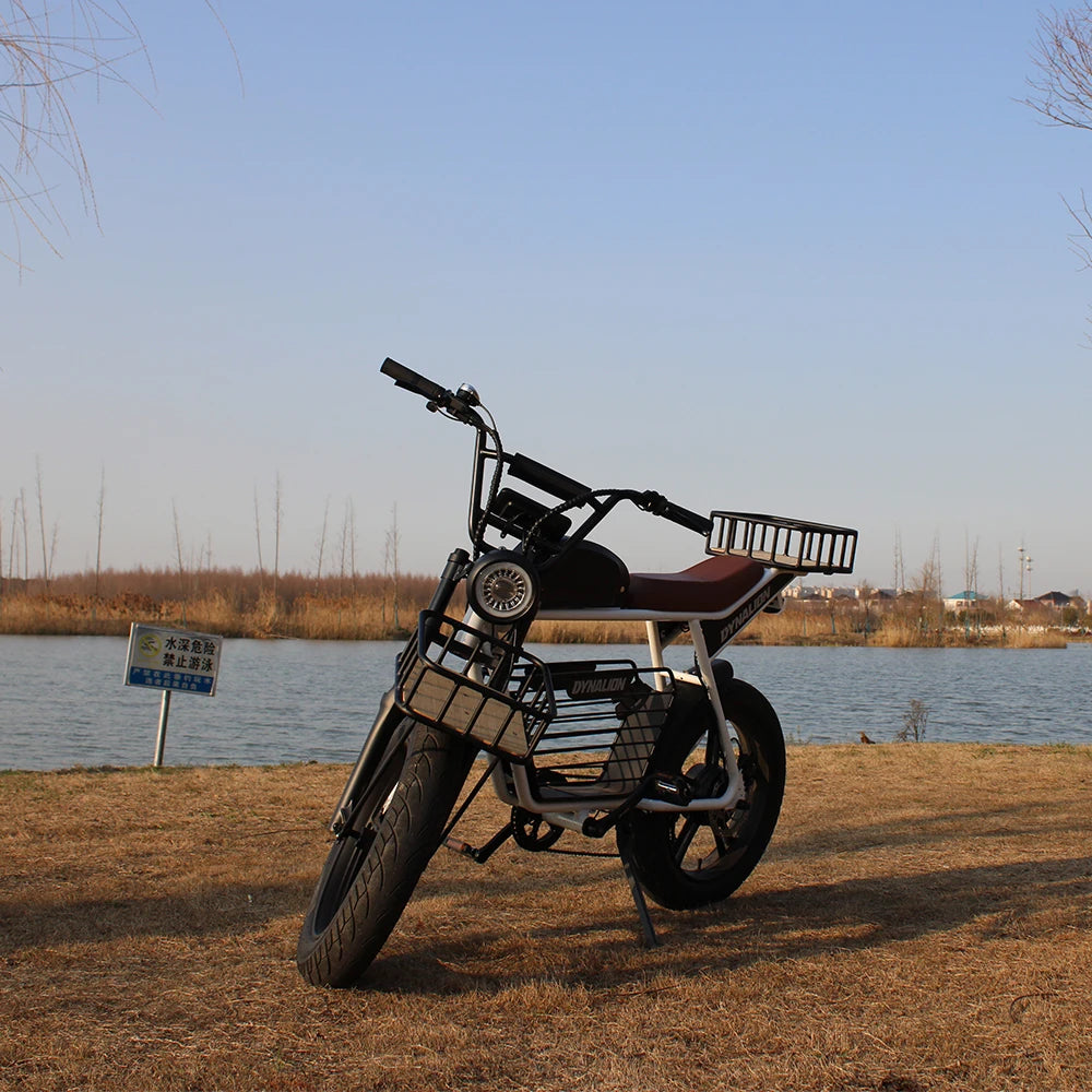 K7-2 1000W 48V Electric All-Terrain Fat Tire Dirt Bike