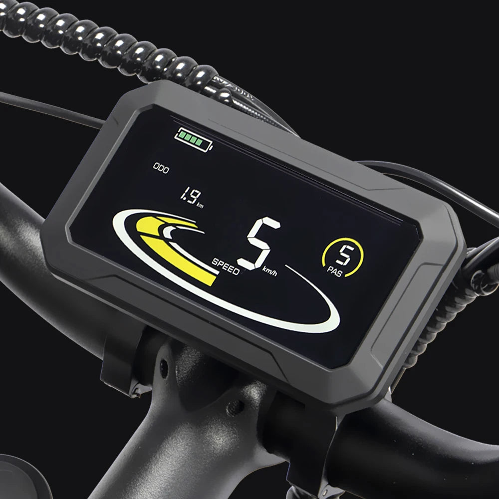 Ridstar Q20 Pro Dual Motor Electric Bike