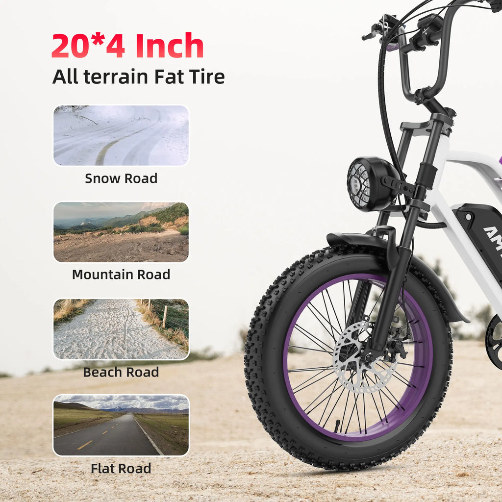 AMYET V9-G60 Electric Bike | 1000W 48V 20AH 20" Fat Tire