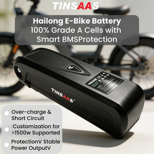 Hailong Long-Range E-Bike Replacement Battery Pack