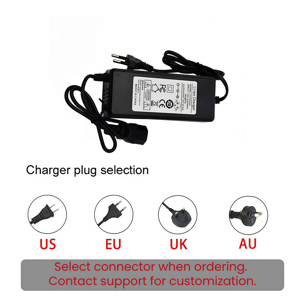 Hailong Long-Range E-Bike Replacement Battery Pack