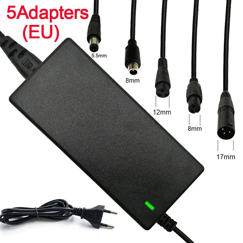 42V 2A Lithium Battery Charger with 5 Connectors | eBike