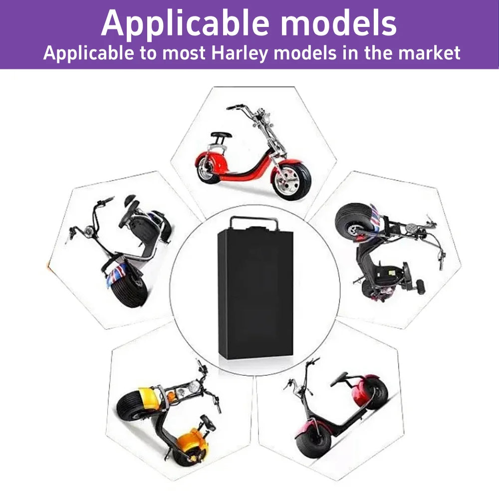 60V 10Ah–30Ah Lithium Battery | 67.2V CityCoco Scooter Battery