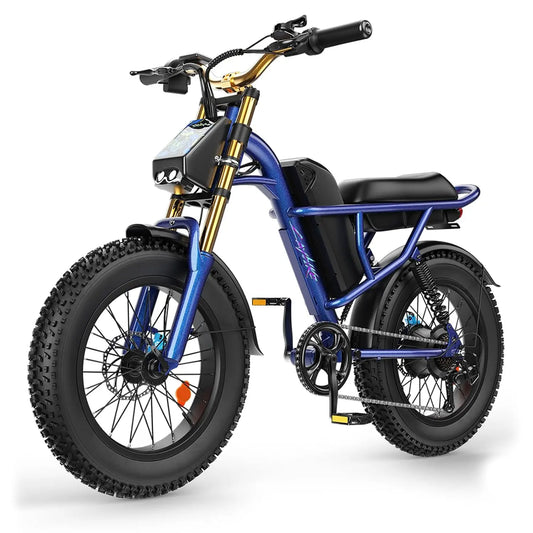 1500W Peak Electric Fat Tire Bike – 48V 15.6Ah Battery