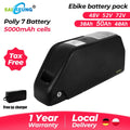 Cham 52v 48v 72v 50ah 60ah Battery Hailong Polly Dp7