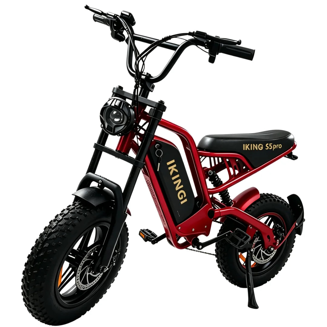 1000W Peak Fat Tire Off-Road E-Bike 48V 15Ah