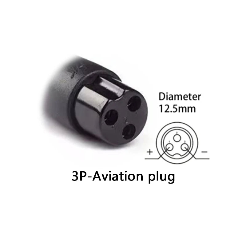 Pro-Series 54.6V 5A Smart Fast Charger