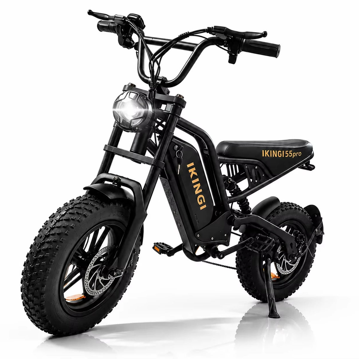 1000W Peak Fat Tire Off-Road E-Bike 48V 15Ah
