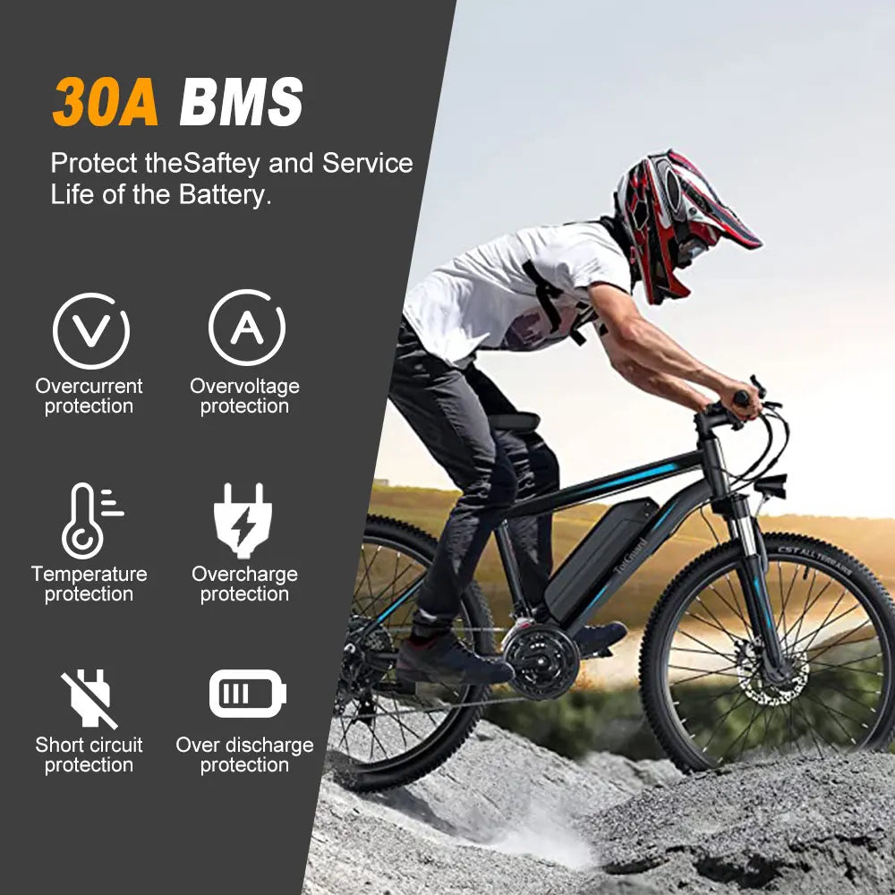 Hailong Long-Range E-Bike Replacement Battery Pack