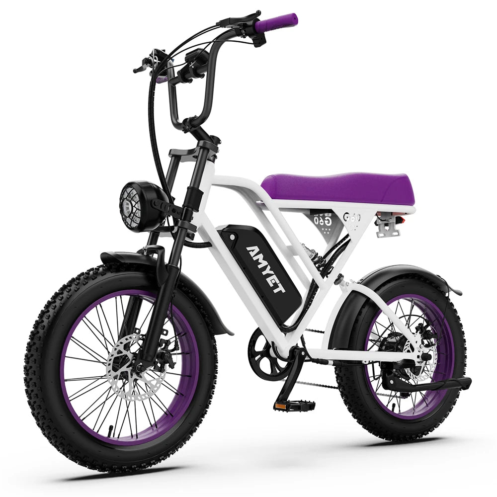 AMYET V9-G60 Electric Bike | 1000W 48V 20AH 20" Fat Tire