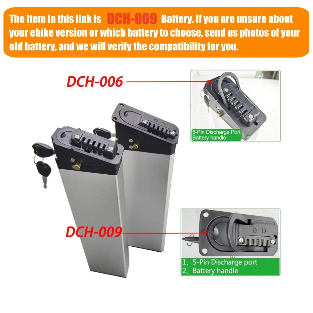 Two silver and black DCH-009 battery modules with keys shown on a white background, with callout labels pointing to DCH-009 and inset close-ups of the 5-pin discharge port and battery handle.