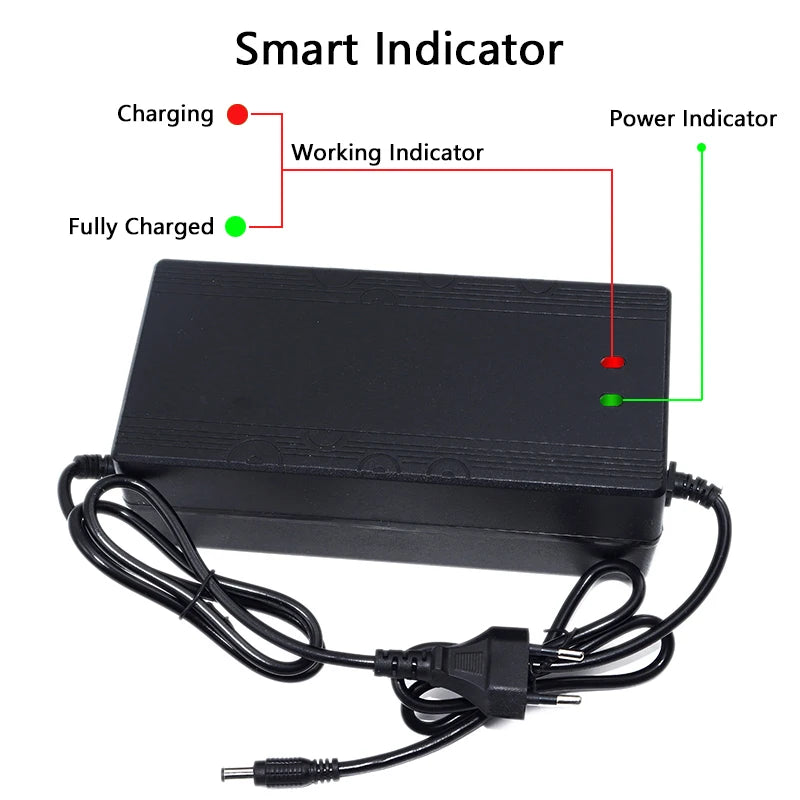 Pro-Series 54.6V 5A Smart Fast Charger