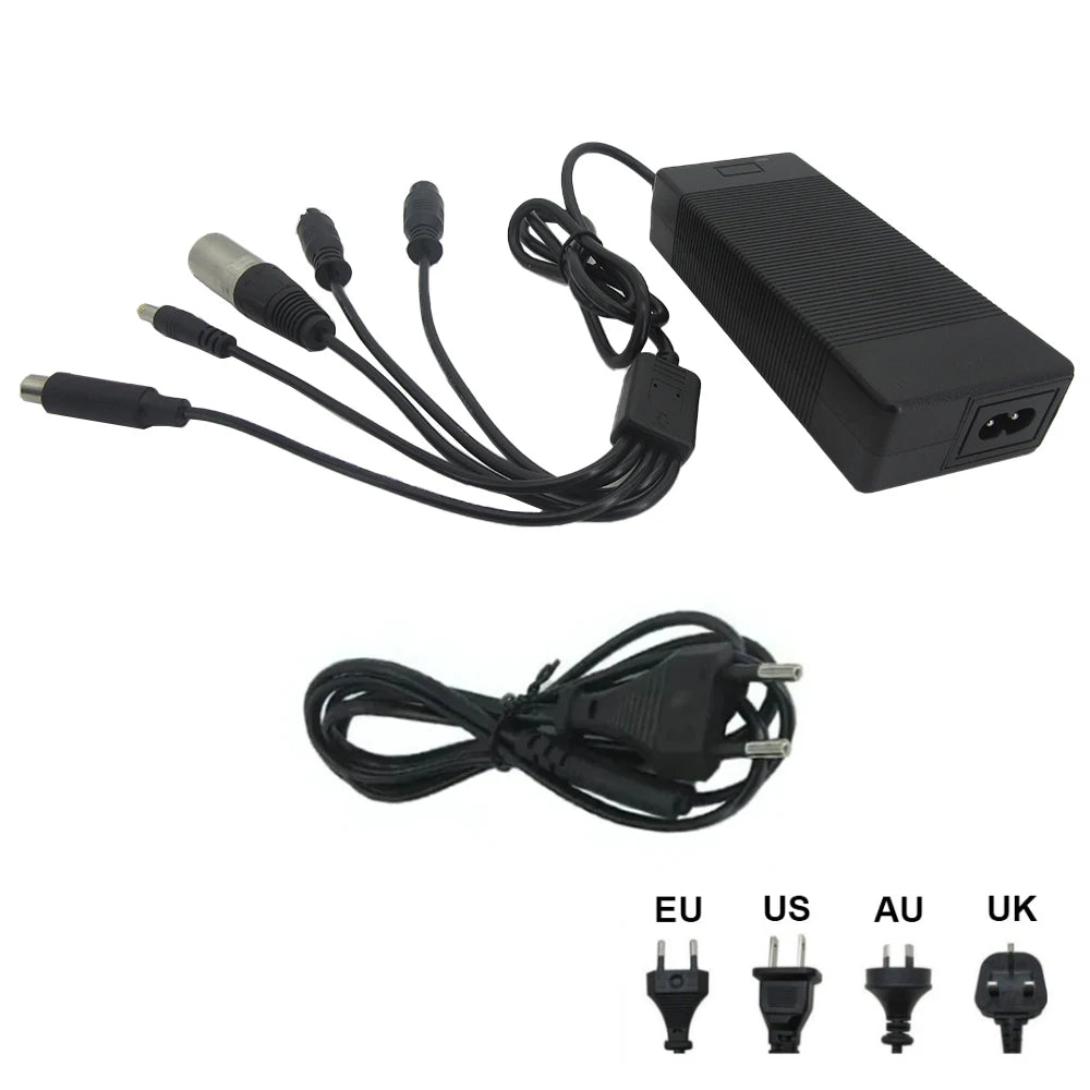 Smart Power Supply for 24V, 36V  48V E-Bikes, Scooters
