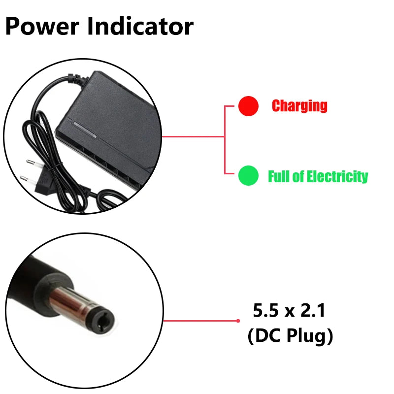 WAPUNO 36V/48V Smart Lithium Battery Charger