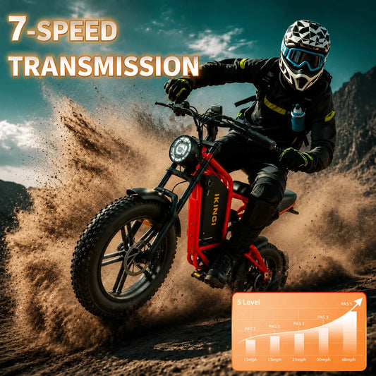 1000W Peak Fat Tire Off-Road E-Bike 48V 15Ah