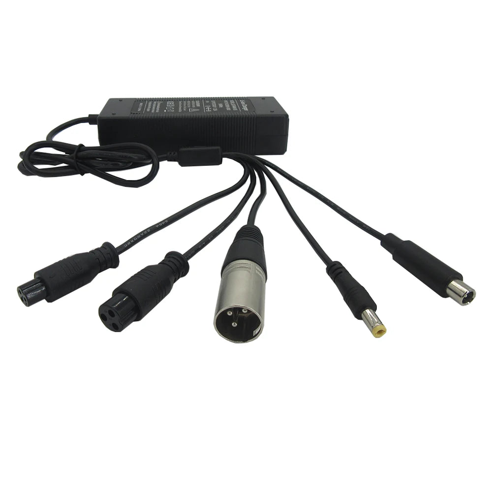 Smart Power Supply for 24V, 36V  48V E-Bikes, Scooters